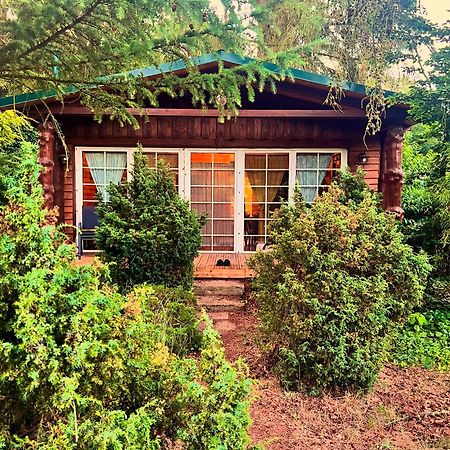 Holzhaus Baerenhoehle Am Wald Und See Neuruppin Dış mekan fotoğraf